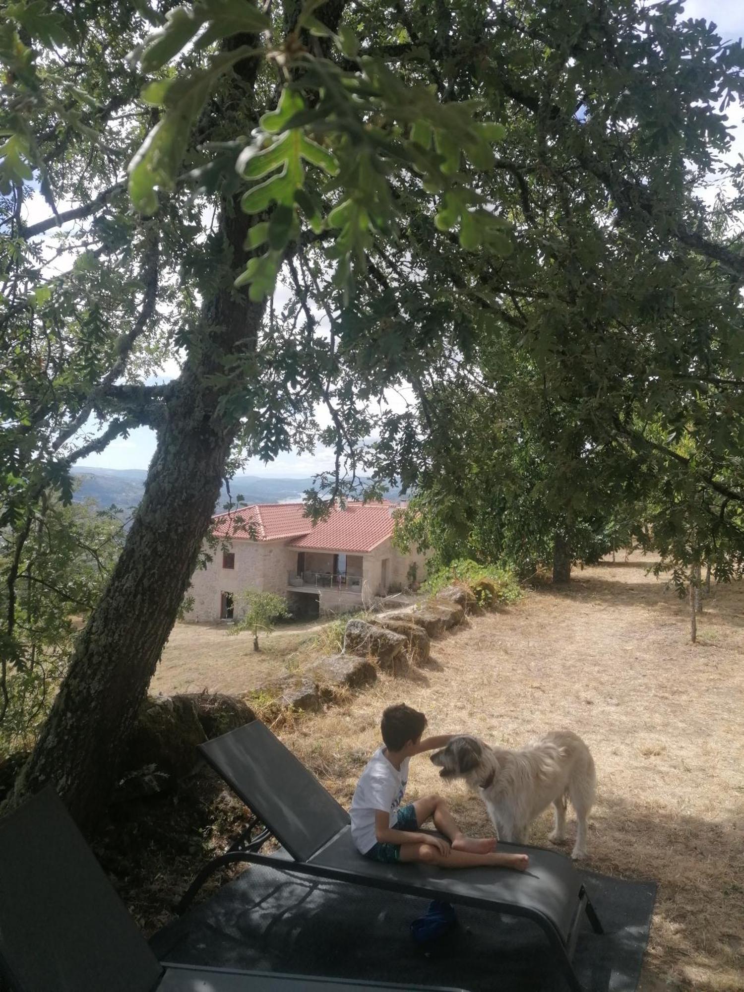 Casa Da Moiroa Βίλα Sendim  Εξωτερικό φωτογραφία
