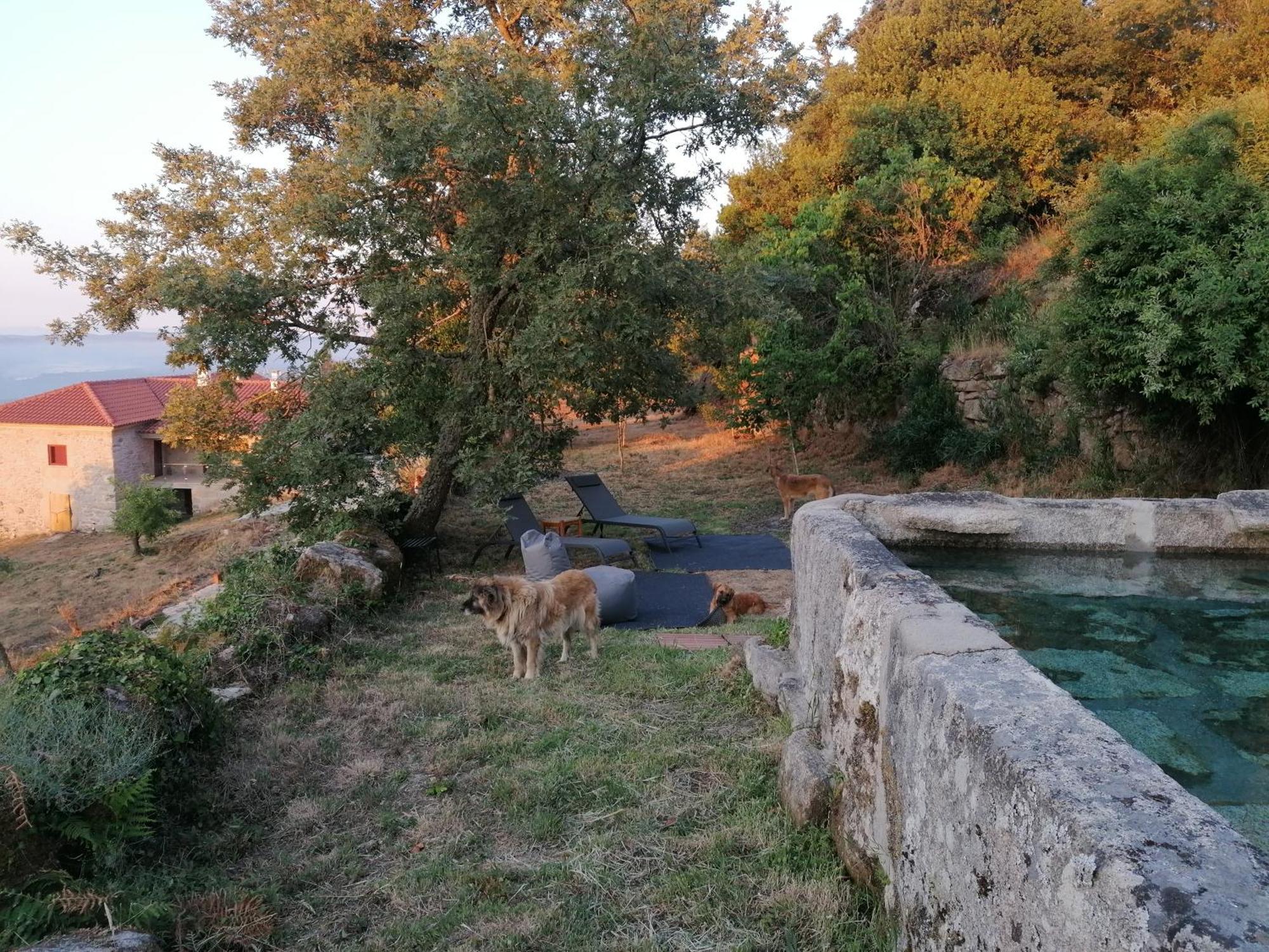 Casa Da Moiroa Βίλα Sendim  Εξωτερικό φωτογραφία